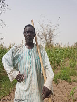 Cheickh Fall, chef du village de Ndiadiane et agriculteur dans son champ de mil © C. Dangleant, Cirad. 